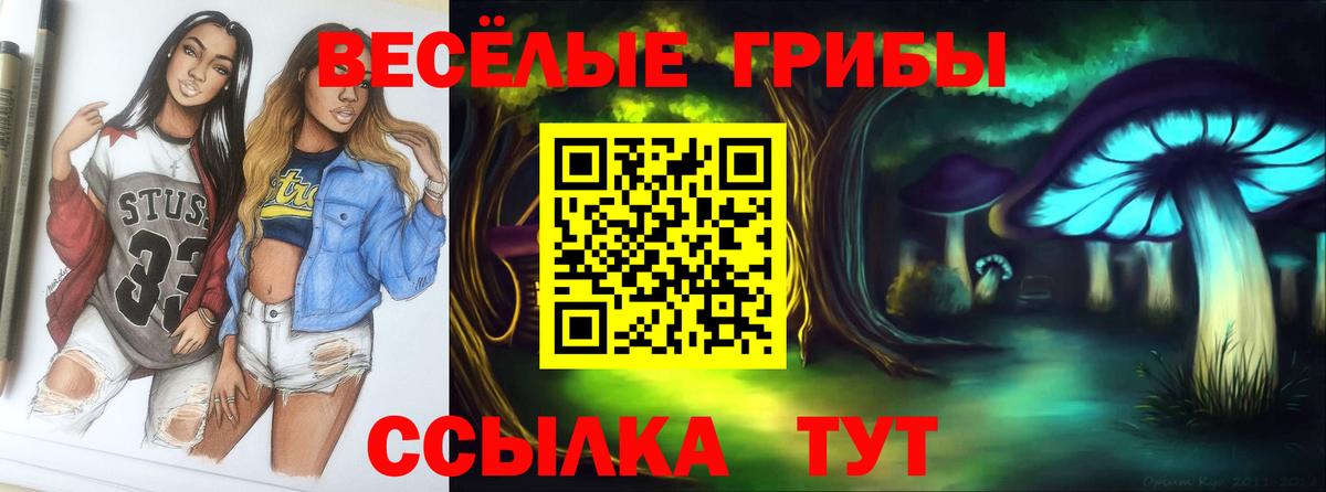 цена   Псилоцибиновые грибы ЛСД  Вход с VPN  Куйбышев 